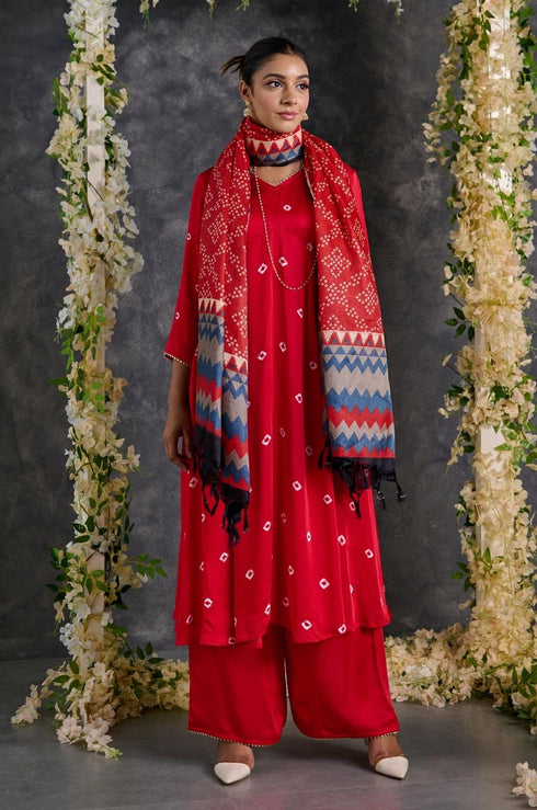 Red Modal Satin Flared Pant