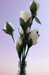 White Rose Handmade Flower (Bunch of 10)
